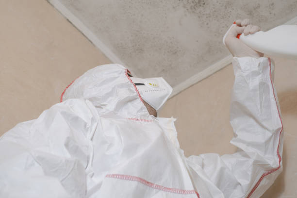 Best Crawl Space Mold Removal  in Holmes Beach, FL